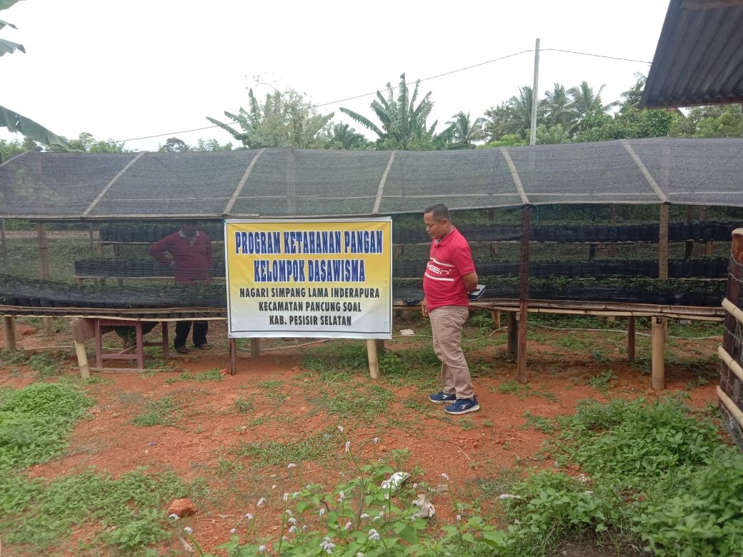Kunjungan ke Lokasi Program Ketahanan Pangan Kelompok Dasawisma