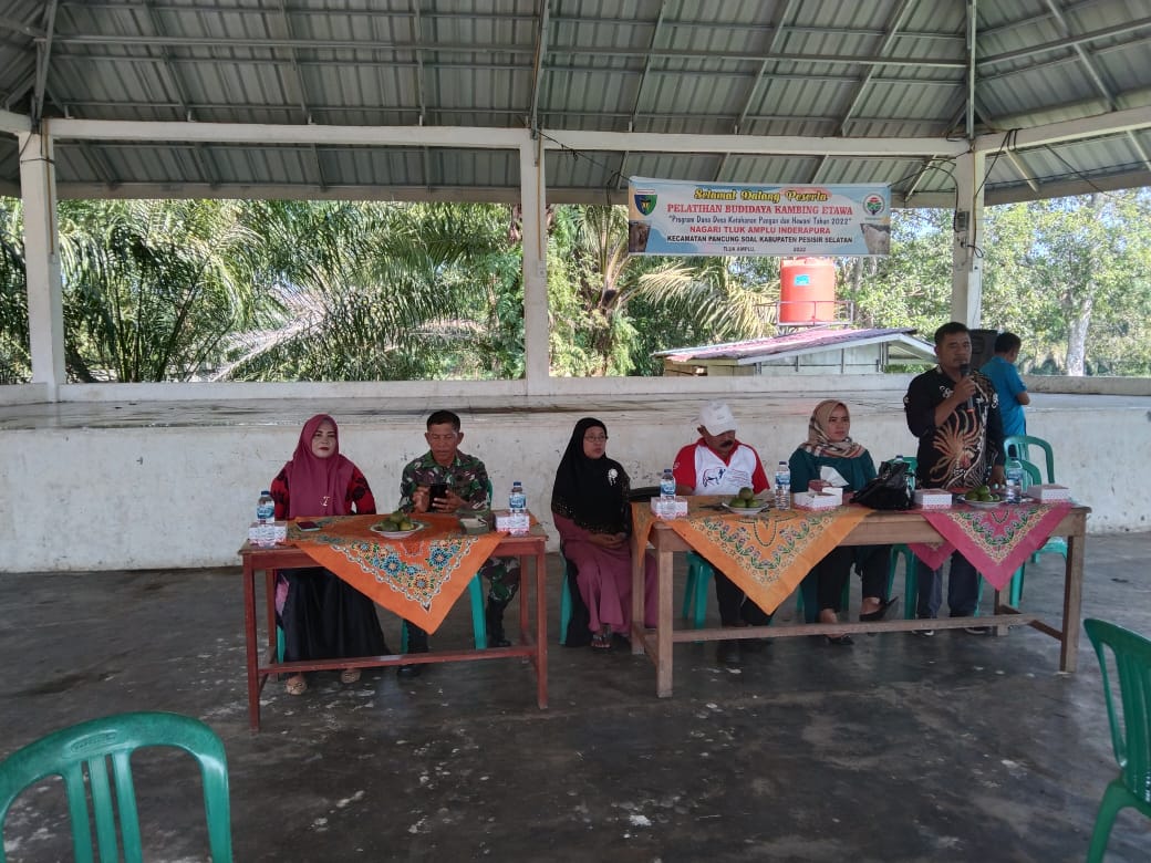 Pelatihan Budi Daya Kambing Etawa di Nagari  Tluk Amplu Inderapura